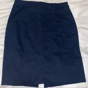Pencil Skirt